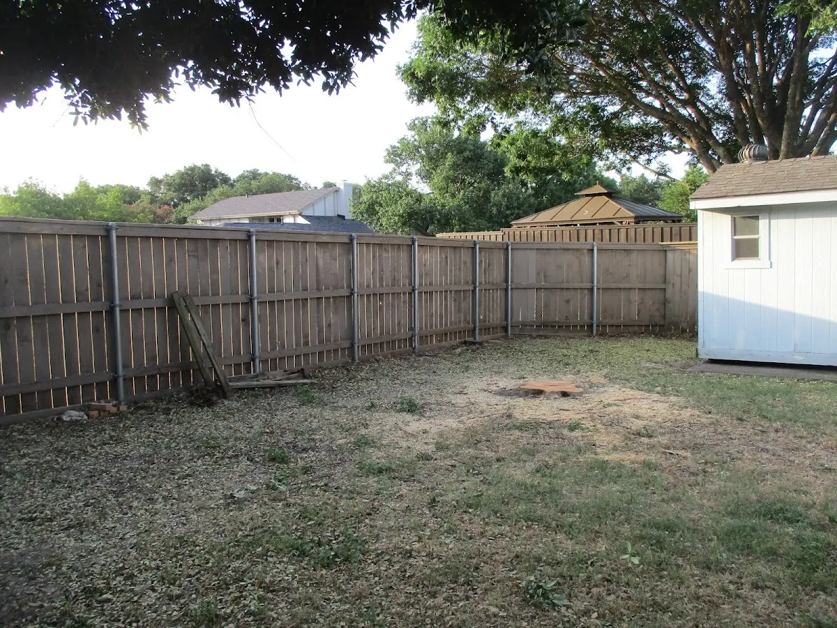 Cleared yard after professional tree removal in Powell
